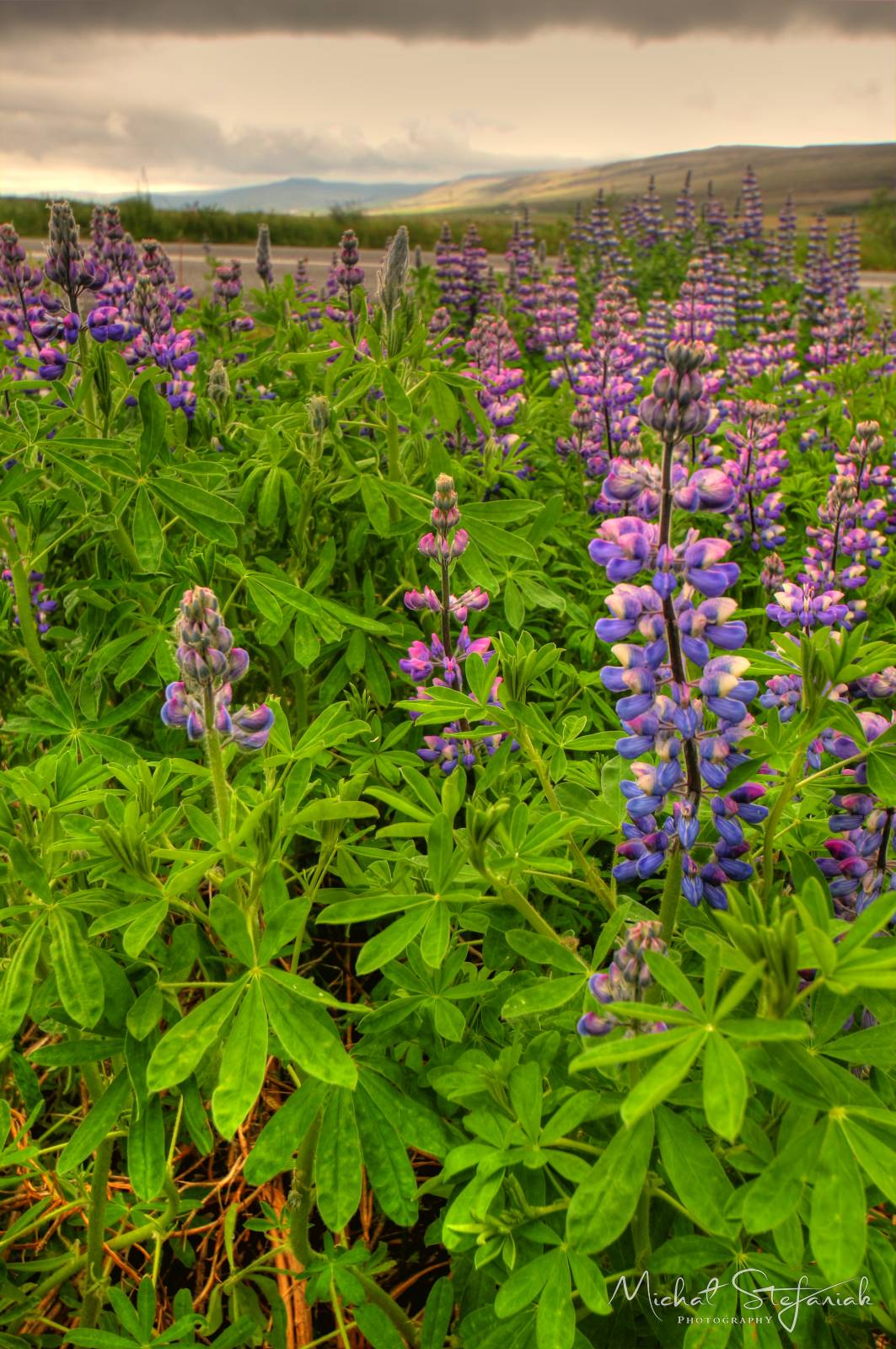 034 IMG 2312 3 4Enhancer